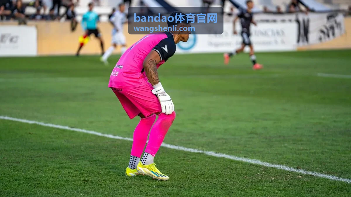 bandao体育 温网经典相持球集锦