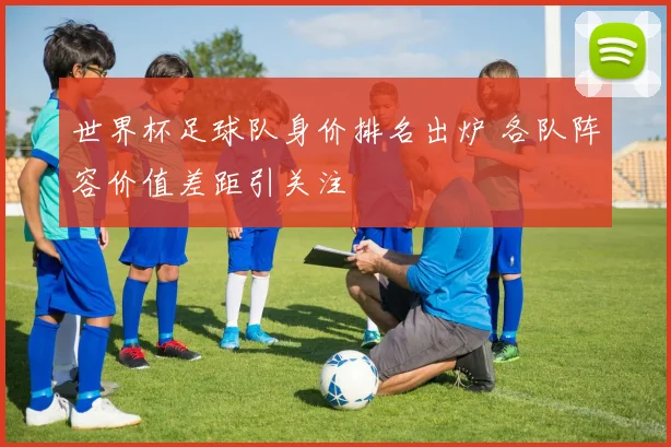世界杯足球队身价排名出炉 各队阵容价值差距引关注