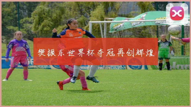 樊振东世界杯夺冠再创辉煌