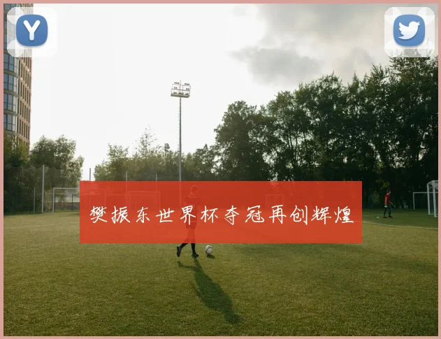 樊振东世界杯夺冠再创辉煌