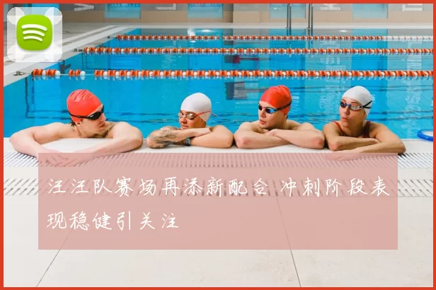 汪汪队赛场再添新配合 冲刺阶段表现稳健引关注